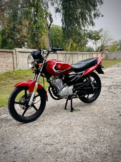 Yamaha yb125z dx