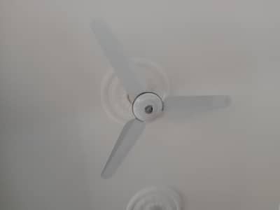 Sonex Ceiling Fan