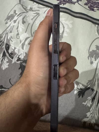 14 pro max physical dual