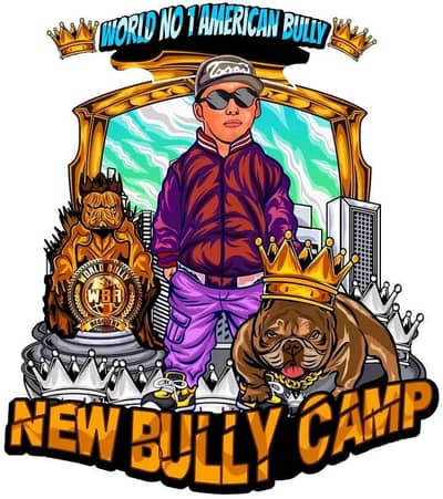 Hiring Graphic Designer (Remote / Work From Home)