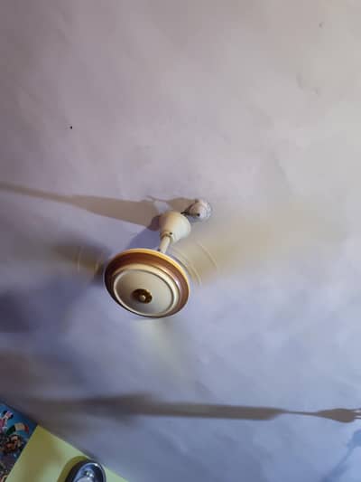 come and check 03142229545 whatsapp