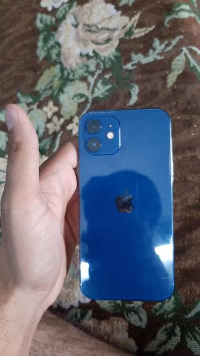 iPhone 12, 128GB lush condition