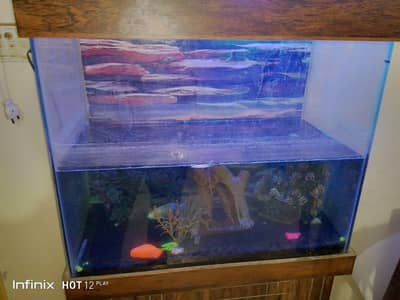 Aquarium for sale