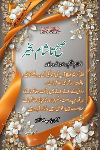 use ma bike chy jis kay paper ho hallt beshaq zero ho