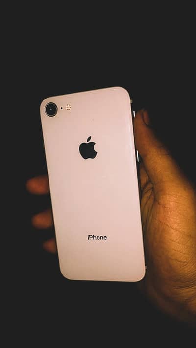 IPhone 8 white colour  fresh 10/10
