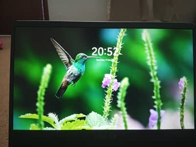 ASUS TUF GAMING FX505 GAMING BEAST