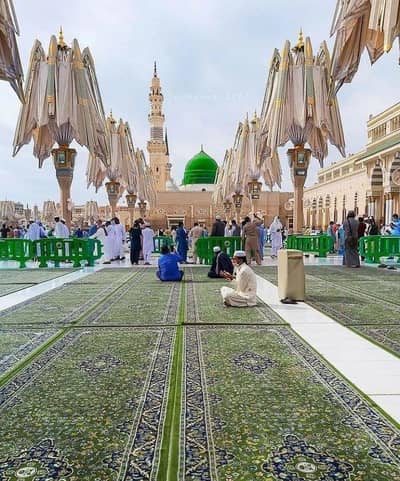 one plus8 12gb 256 gb