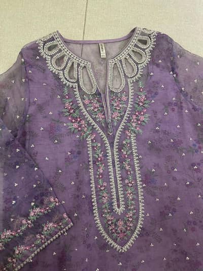 ethnic embroidered dress