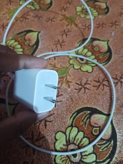 Iphone 12 pro Charger