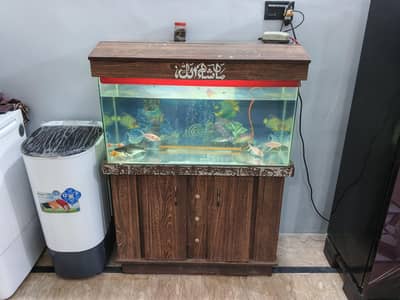 aquariam with 6 fish