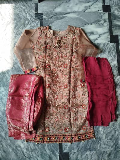 3 pc Embroidered Organza Dress