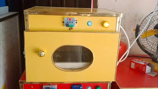 Incubator ungent sale Best for Haching eggs