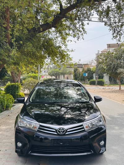 Grande 2015 Almost geniun