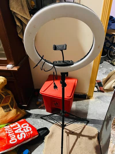 Video Ringe lite 3 color with stang 12inch