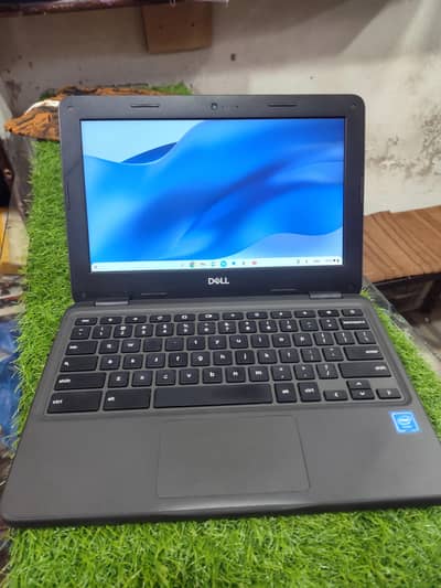Dell Chromebook 3100