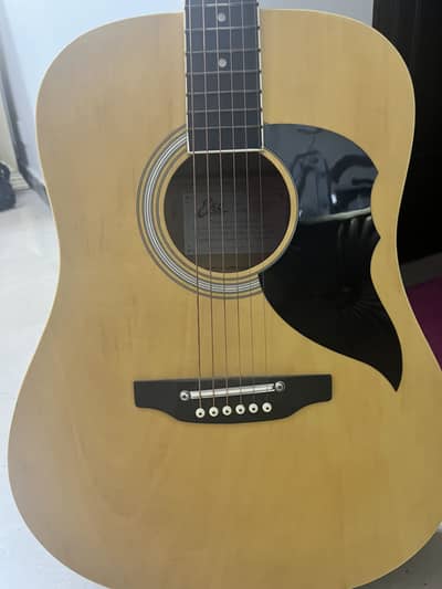 Acoustic guitar