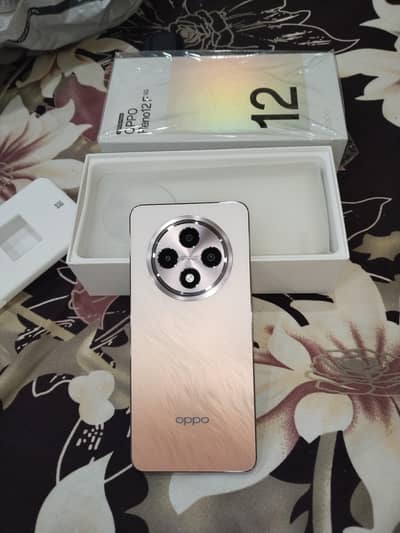 Oppo Reno12 F 5g 12/256