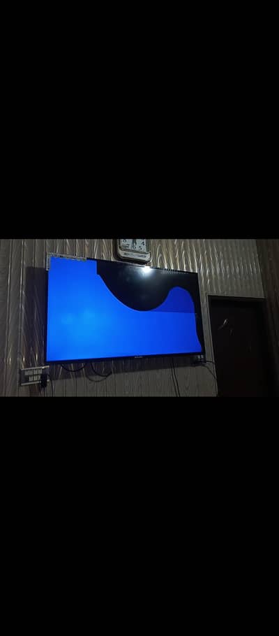 LED tv Eco star company bus panel tuta hoa ha