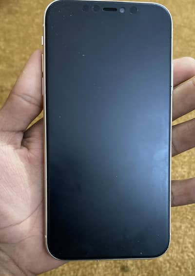 I phone 11 Pta Approve