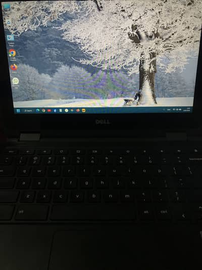 Chrome book ( window 11 converted )