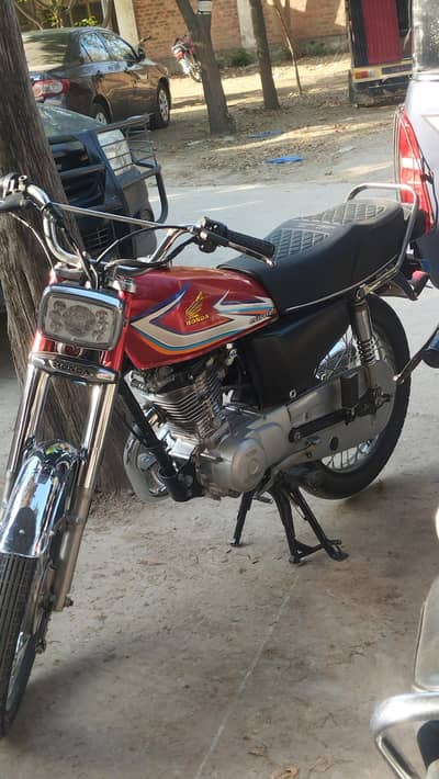 16 model vip condition