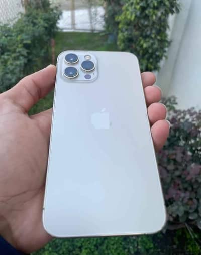 i phone 12 pro max 128 gb 77 health waterpck bypass