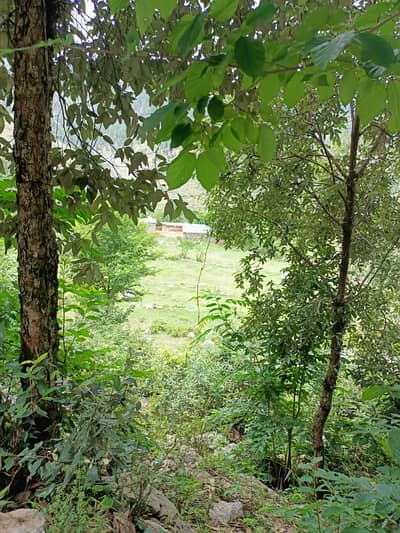 26 Marla Plot For Sale In Pir Sohawa Nearby Dino Valley