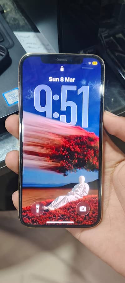 12 pro 256 gb non pta