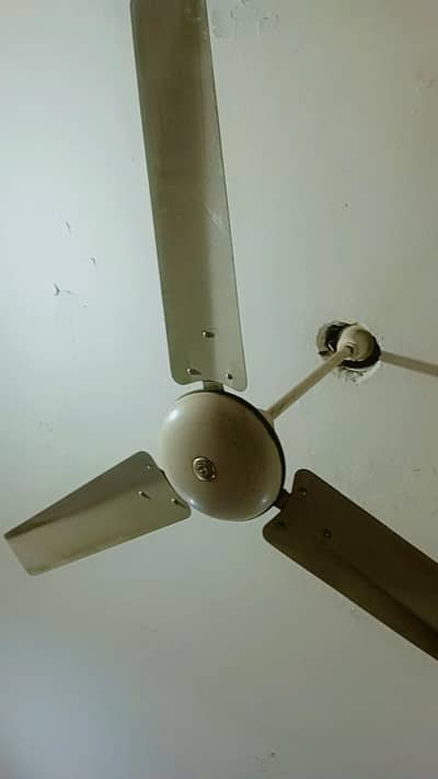 Full size Fan