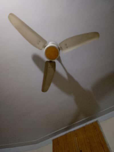 Royal Ceiling Fan