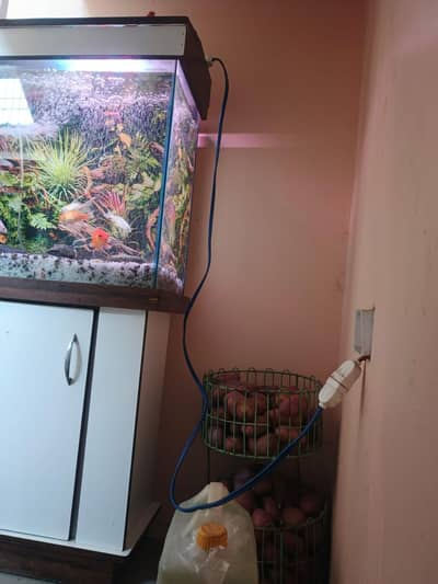 Fish Aquarium complete