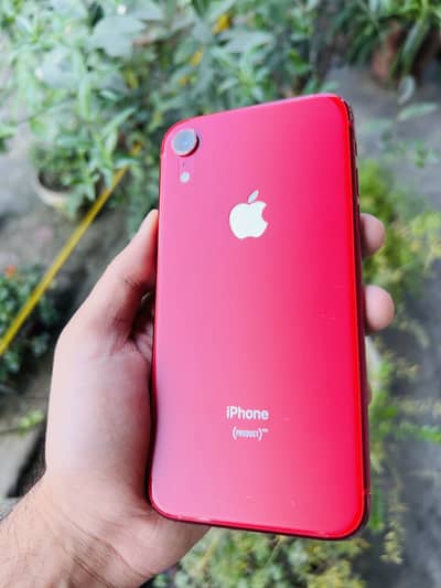 iPhone XR 64 Gb Dual Sim PTA Approved