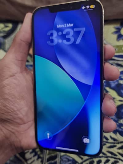 iphone 12 pro max pta approved