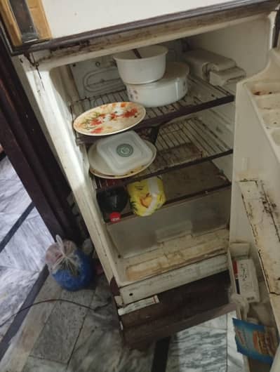 Dewlence old model mini fridge