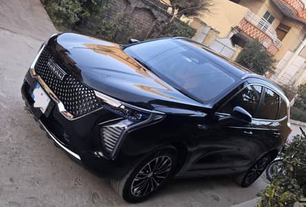 Haval Jolion HEV 2024