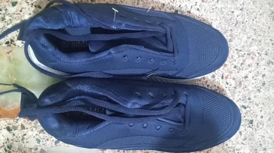 Navy Blue Sneakers  Good Condition (Local Brand)
