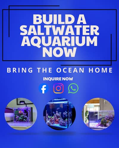 Saltwater Marine Reef aquariums now available