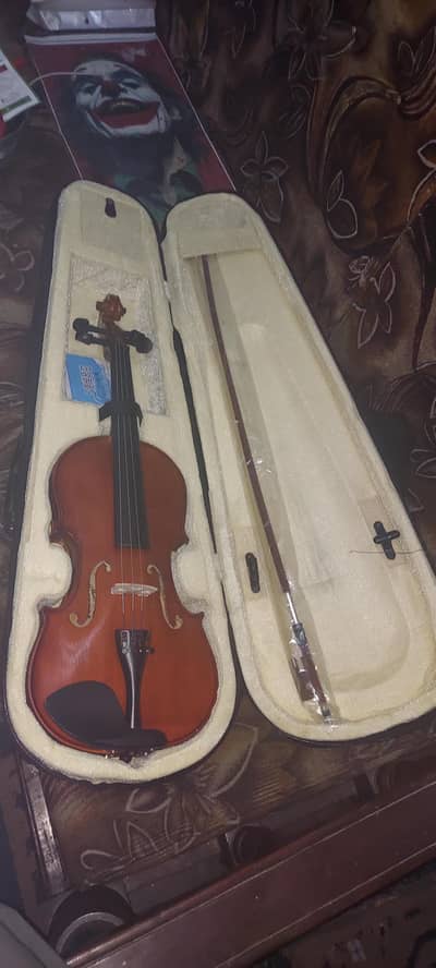 Voila for sale brand new