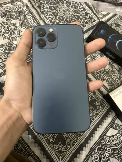 iPhone 12 Pro Max PTA approved