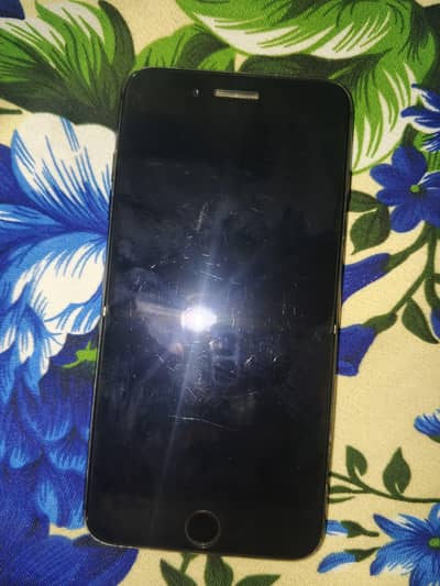 CONTACT _03706164676