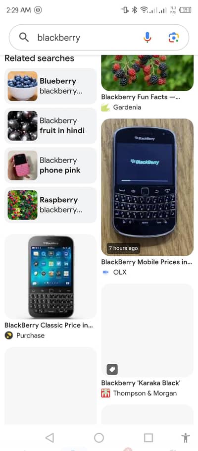 blackberry