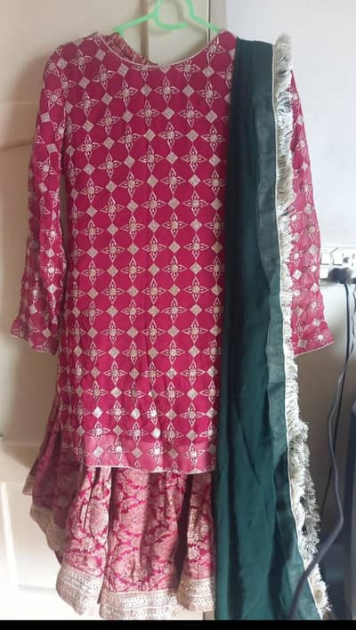 Beautiful Classy Ghrara for Eid