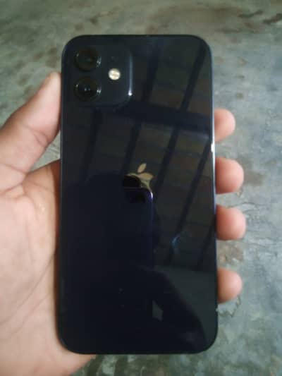 Apple iPhone 12