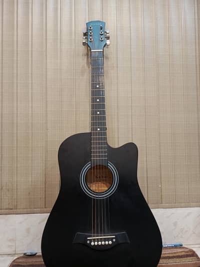 matte black guitar for beginners