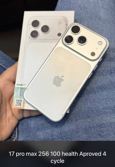 17 pro max