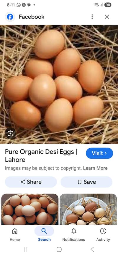 Desi Eggs