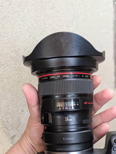 Canon EF 24mm f/1.4L II