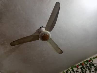 3 Adadd chaat fan Arjnt sale