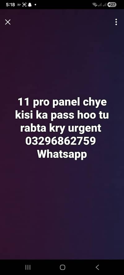 need ip 11 pro panel