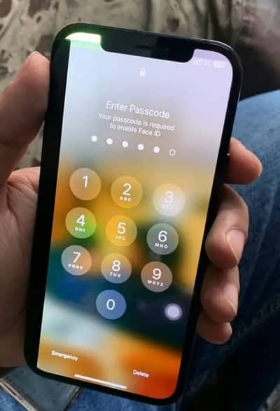 Iphone 12 pro PTA approved read add